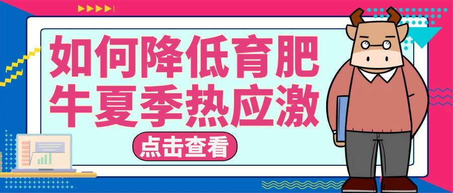 從管理和營養(yǎng)上教會你如何應對育肥牛夏季熱應激